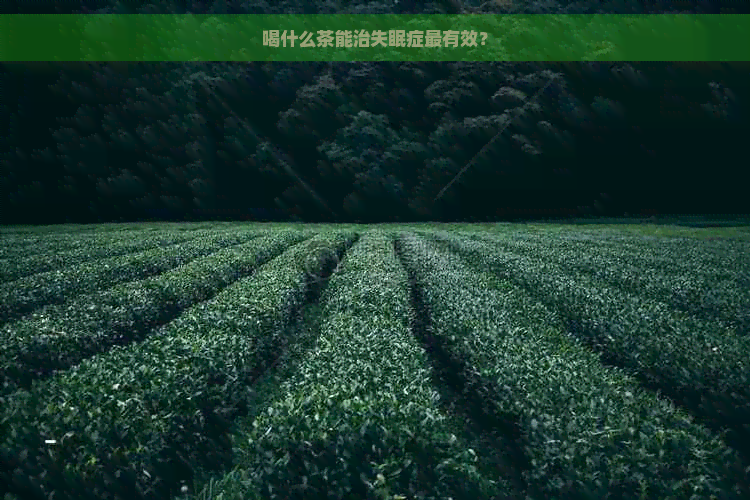 喝什么茶能治失眠症最有效？