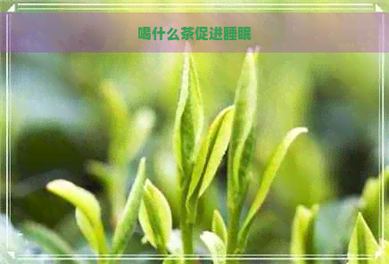 喝什么茶促进睡眠