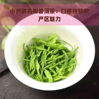 小户赛古树普洱茶：口感独特的产区魅力