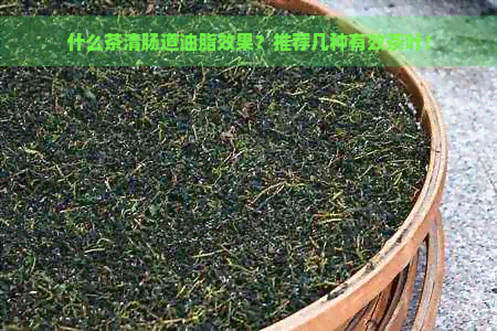 什么茶清肠道油脂效果？推荐几种有效茶叶！