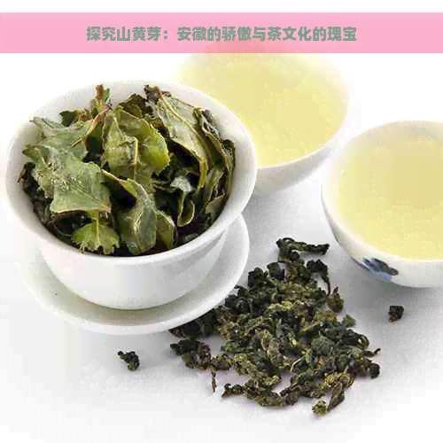 探究山黄芽：安徽的骄傲与茶文化的瑰宝