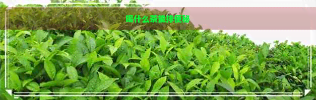 喝什么茶能排便秘