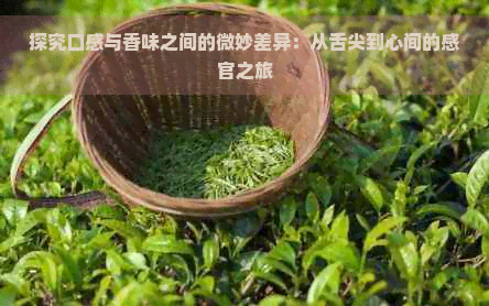 探究口感与香味之间的微妙差异：从舌尖到心间的感官之旅