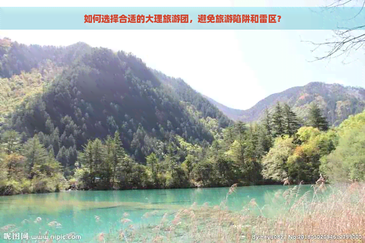 如何选择合适的大理旅游团，避免旅游陷阱和雷区？