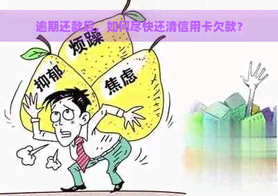 逾期还款后，如何尽快还清信用卡欠款？