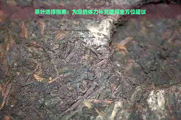 茶叶选择指南：为您的体力补充提供全方位建议