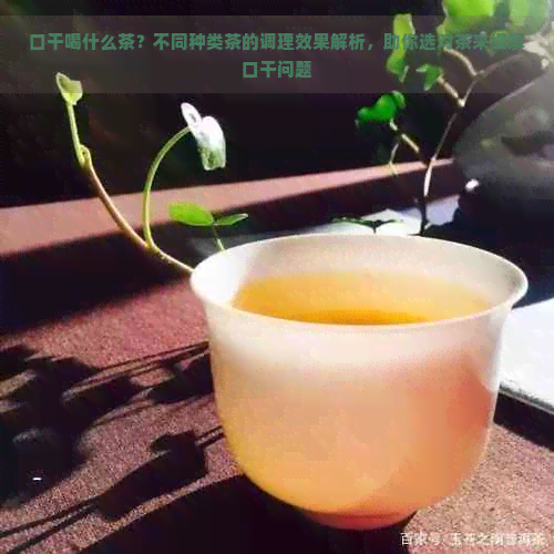 口干喝什么茶？不同种类茶的调理效果解析，助你选对茶来缓解口干问题