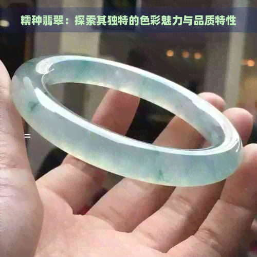 糯种翡翠：探索其独特的色彩魅力与品质特性