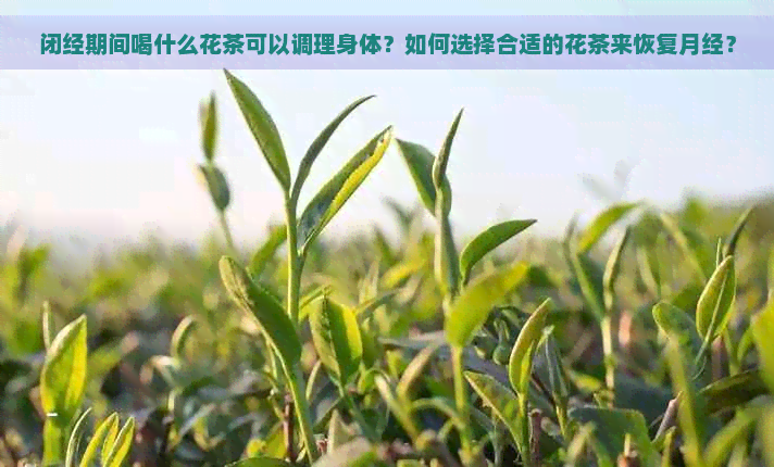 闭经期间喝什么花茶可以调理身体？如何选择合适的花茶来恢复月经？