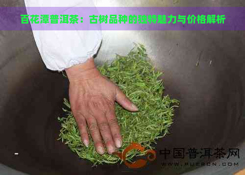 百花潭普洱茶：古树品种的独特魅力与价格解析