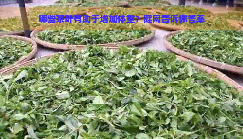 哪些茶叶有助于增加体重？健网告诉你答案