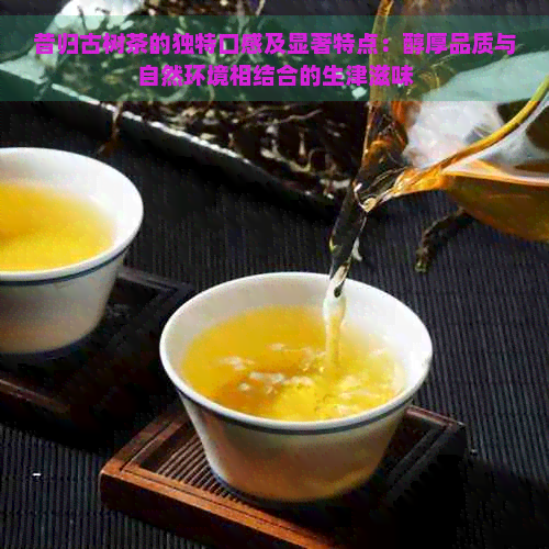 昔归古树茶的独特口感及显著特点：醇厚品质与自然环境相结合的生津滋味