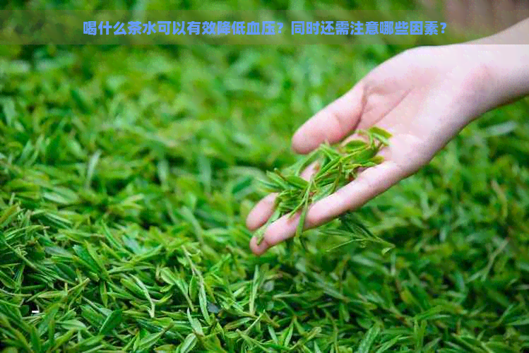 喝什么茶水可以有效降低血压？同时还需注意哪些因素？