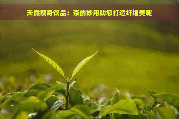 天然瘦身饮品：茶的妙用助您打造纤细     