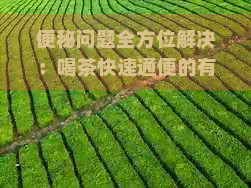 便秘问题全方位解决：喝茶快速通便的有效选择与科学方法解析