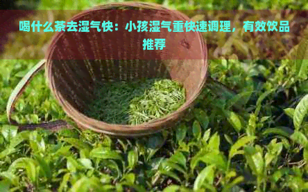 喝什么茶去湿气快：小孩湿气重快速调理，有效饮品推荐