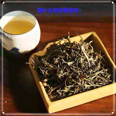 喝什么茶排便最快