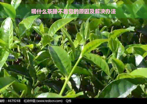 喝什么茶睡不着觉的原因及解决办法