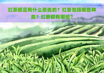 红茶都是有什么茶类的？红茶包括哪些种类？红茶都有哪些？