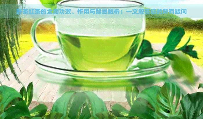 野茶红茶的全面功效、作用与禁忌解析：一文解答您的所有疑问