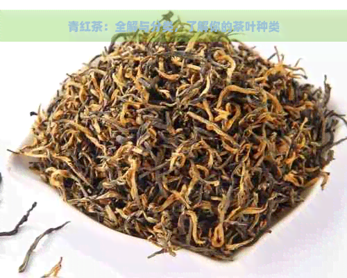 青红茶：全解与分类，了解你的茶叶种类