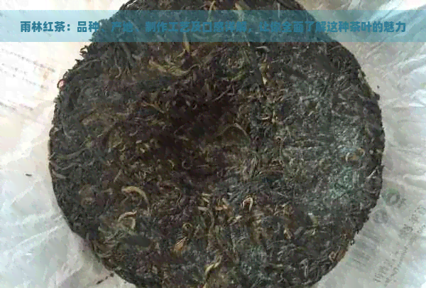 雨林红茶：品种、产地、制作工艺及口感详解，让你全面了解这种茶叶的魅力