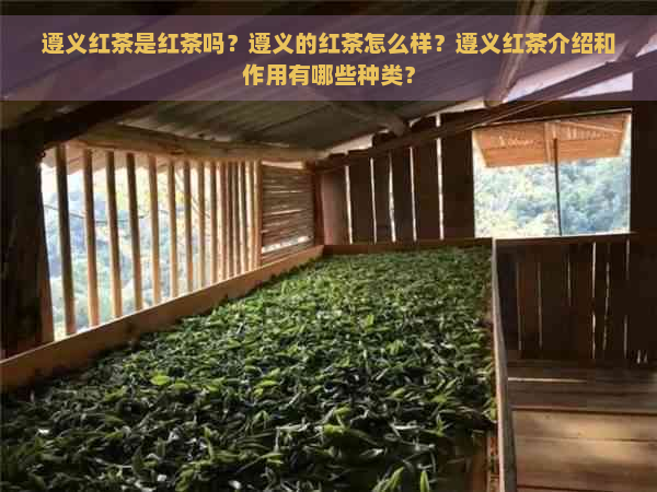 遵义红茶是红茶吗？遵义的红茶怎么样？遵义红茶介绍和作用有哪些种类？