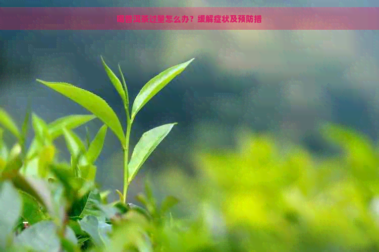 喝普洱茶过量怎么办？缓解症状及预防措