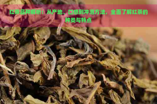 红茶品种解析：从产地、口感到冲泡方法，全面了解红茶的种类与特点