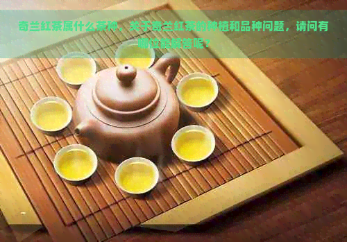 奇兰红茶属什么茶种，关于奇兰红茶的种植和品种问题，请问有哪位能解答呢？