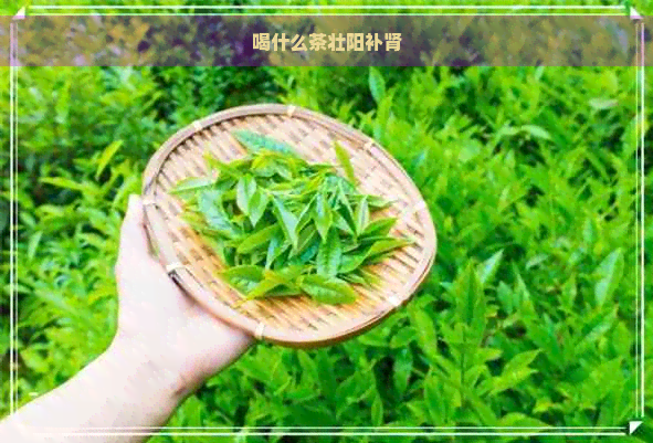 喝什么茶壮阳补肾