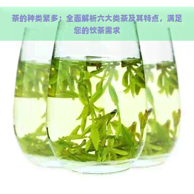 茶的种类繁多：全面解析六大类茶及其特点，满足您的饮茶需求