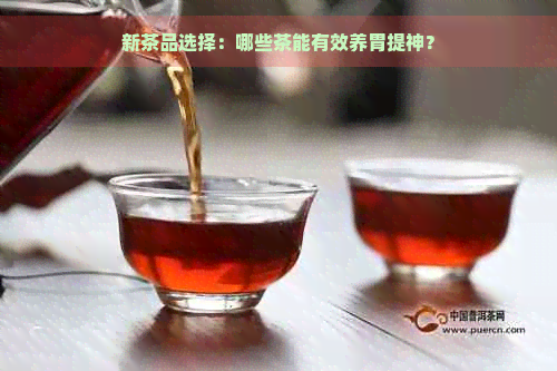 新茶品选择：哪些茶能有效养胃提神？