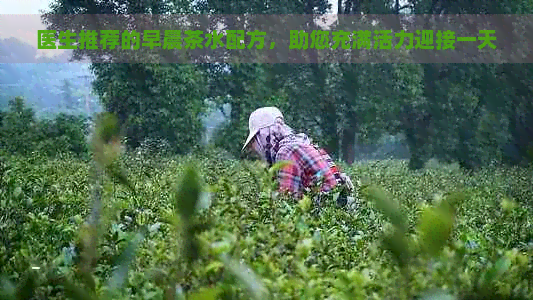 医生推荐的早晨茶水配方，助您充满活力迎接一天