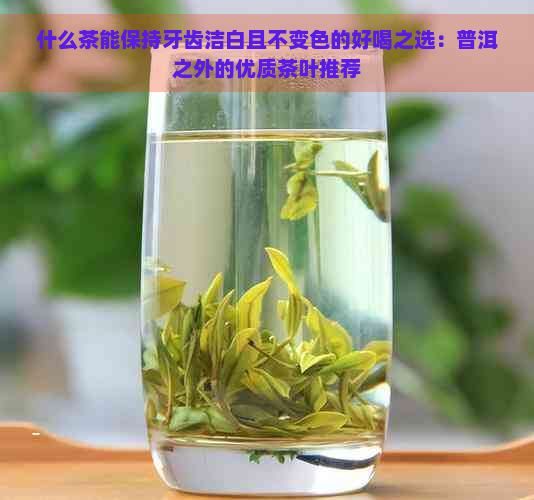 什么茶能保持牙齿洁白且不变色的好喝之选：普洱之外的优质茶叶推荐