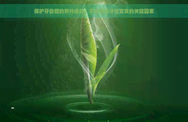 保护牙齿健的茶叶选择：不会导致牙齿变黄的关键因素