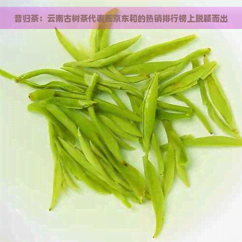 昔归茶：云南古树茶代表在京东和的热销排行榜上脱颖而出