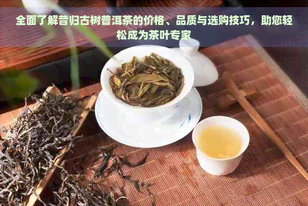 全面了解昔归古树普洱茶的价格、品质与选购技巧，助您轻松成为茶叶专家