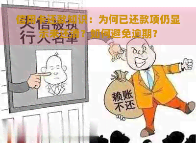 信用卡还款知识：为何已还款项仍显示未还清？如何避免逾期？