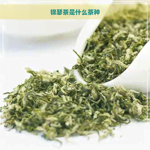 锦瑟茶是什么茶种