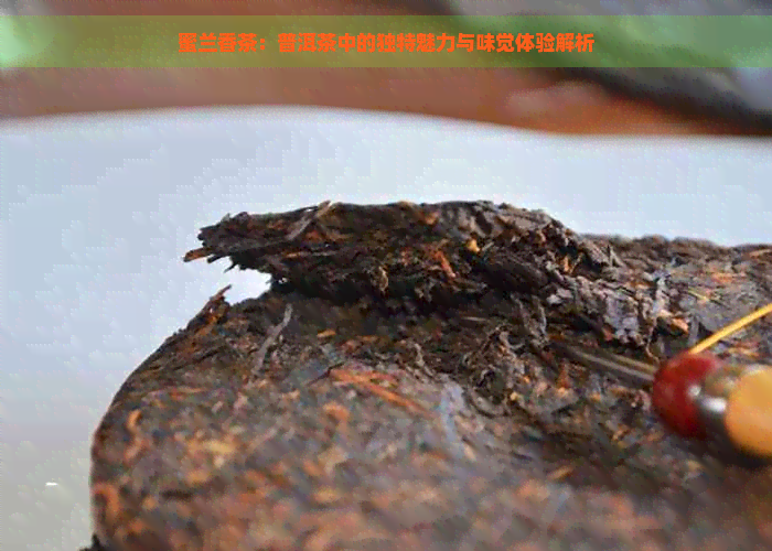 蜜兰香茶：普洱茶中的独特魅力与味觉体验解析