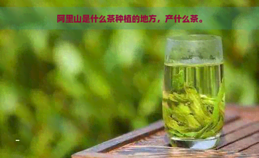 阿里山是什么茶种植的地方，产什么茶。