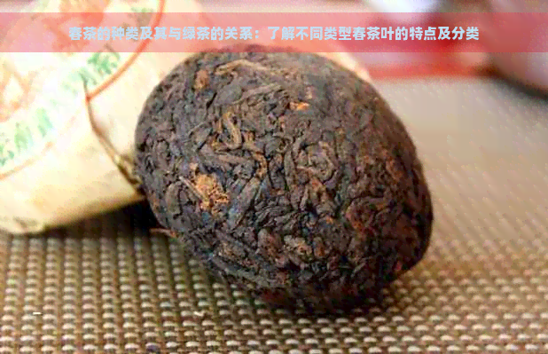 春茶的种类及其与绿茶的关系：了解不同类型春茶叶的特点及分类