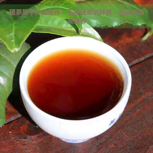 硒茶属于什么茶种：石台硒茶的种类、性质与功效解析