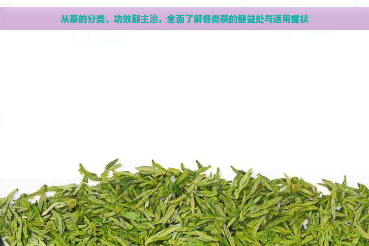 从茶的分类、功效到主治，全面了解各类茶的健益处与适用症状