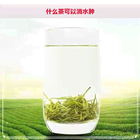 什么茶可以消水肿