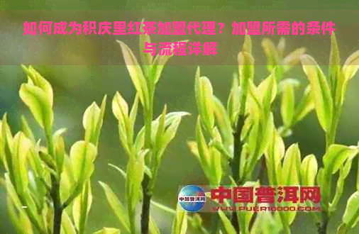 如何成为积庆里红茶加盟代理？加盟所需的条件与流程详解