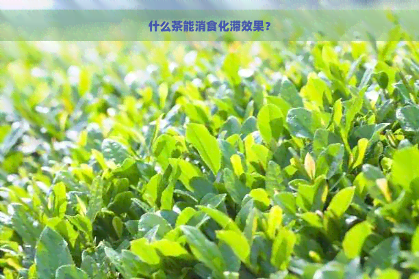 什么茶能消食化滞效果？