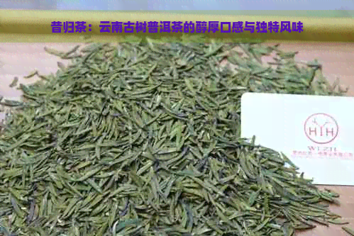 昔归茶：云南古树普洱茶的醇厚口感与独特风味