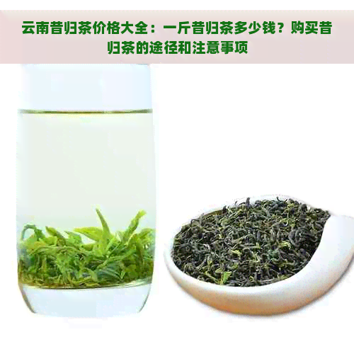 云南昔归茶价格大全：一斤昔归茶多少钱？购买昔归茶的途径和注意事项